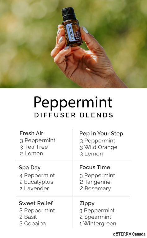 Peppermint Candle Recipe, Peppermint Essential Oil Diffuser Blends, Peppermint Essential Oil Uses Diffuser, Doterra Peppermint Uses, Peppermint Oil Blends, Peppermint Diffuser Blend, Peppermint Essential Oil Blends, Peppermint Essential Oil Recipes, Peppermint Doterra