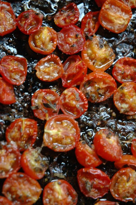 Cherry tomatoes grow like crazy in our garden. They are popping up everywhere. Rather than pull out all those volunteer tomato vines, I'm letting them grow. The challenge is finding something to do with all of them. This recipe is one of my new... Freezing Cherry Tomatoes, Lobster Stew, Roasted Grape Tomatoes, Freezing Herbs, Cherry Tomato Recipes, Tomato Vine, Roasted Cherry, Roasted Cherry Tomatoes, Garden Recipes