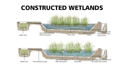 CONSTRUCTED WETLANDS Constructed Wetland Design, Wetland Architecture, Wetland Design, Constructed Wetland, Landscape Engineer, Grey Water System, Wetland Park, Ecology Design, Permaculture Design