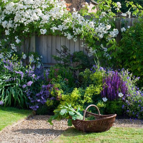 Garden edging ideas to give gardens the perfect finishing touch Common Flowers, Concrete Patios, Cottage Garden Plants, Cottage Garden Design, English Country Gardens, Traditional Garden, Garden Edging, Garden Tours, Garden Borders