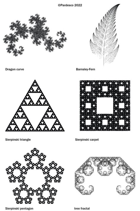 fractal geometry Symmetry In Nature, Mathematical Shapes, Fractals In Nature, Mandelbrot Set, Geometry In Nature, Sacred Geometry Patterns, Fractal Geometry, Math Patterns, Fractal Images