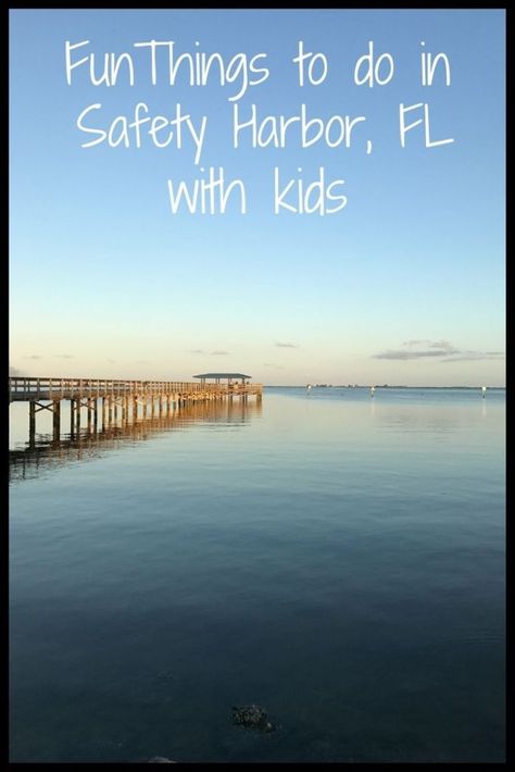 35 Fun Things to do in Safety Harbor, Florida with Kids Florida With Kids, Safety Harbor Florida, Things To Do Inside, Things To Do With Kids, Little Library, Free Things To Do, Skate Park, Florida Travel, Family Adventure