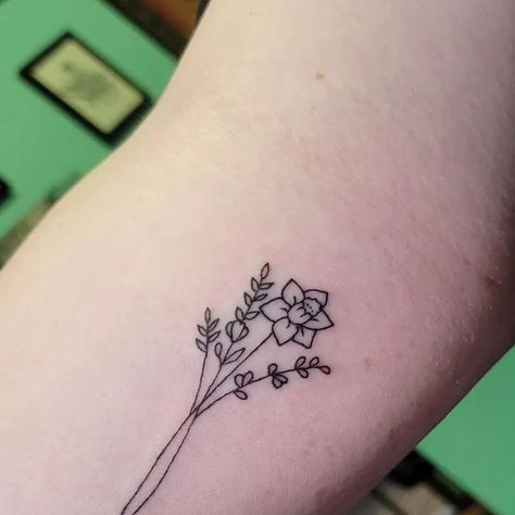 Daffodil Line Tattoo, Line Daffodil Tattoo, Small Daffodil Tattoo, Rose And Daffodil Tattoo, Fine Line Daffodil, Daphodil Tattoo, Fine Line Daffodil Tattoo, Daffodil Tattoo Small, Dainty Daffodil Tattoo