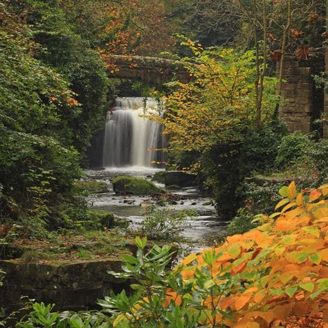 Jesmond Dene, Newcastle Jesmond Dene, Newcastle Upon Tyne, North East, Newcastle, Landscape Photography, Beautiful Places, Favorite Places, England, Photographer