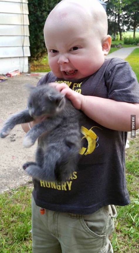 Yesssss! Pet the kitteeh love the kitteeh! Kids Acting, Definition Of Insanity, Parenting Photos, Silly Kids, Funny Picture Quotes, Diy Patio, Top 50, Koala Bear