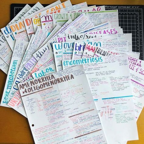 28 pages of study notes brightly coloured mix ★·.·´¯`·.·★ follow @motivation2study for daily inspiration Notes Aesthetic Study Inspiration, Aesthetic Study Inspiration, Notes Aesthetic, College Notes, Study Flashcards, Fundamentals Of Nursing, Bullet Journal Notes, Aesthetic Study, Nursing School Notes