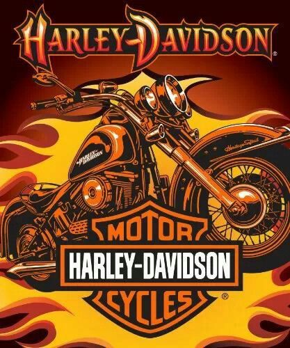 HARLEY DAVIDSON Harley Davidson Blanket, Harley Davidson Fabric, Harley Davidson Kunst, Harley Davidson Quotes, Bmw R75, Harley Davidson Posters, Harley Davidson Pictures, Мотоциклы Harley Davidson, Harley Davidson Artwork