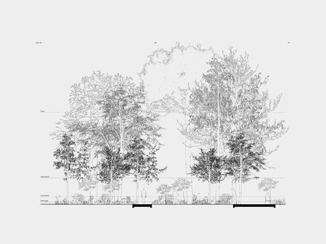 51N4E , Filip Dujardin, Blerta Kambo · Skanderbeg Square · Divisare Landscape Design Drawings, Section Drawing, Conceptual Drawing, Architecture Presentation Board, Architecture Panel, Plans Architecture, Architecture Collage, Architecture Graphics, Presentation Layout