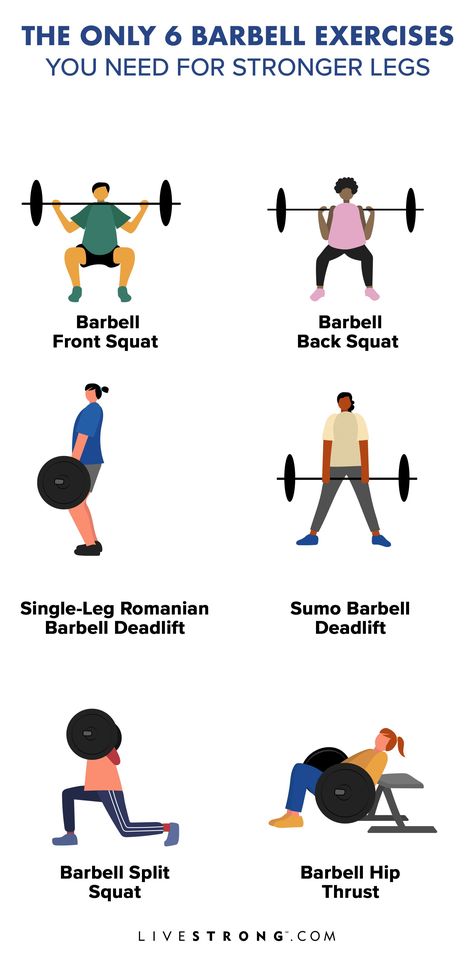 With barbell exercises like squats, deadlifts and hip thrusts, you'll strengthen your leg muscles, including your quads, hamstrings, calves and even glutes. Barbell Leg Exercises, Barbell Squat Workout, Barbell Exercises, Barbell Leg Workout, Barbell Squats Women, Hamstring Quads And Calves Workout, Quad And Hamstring Workout, Squats With Barbell, Quads And Hamstrings Workout