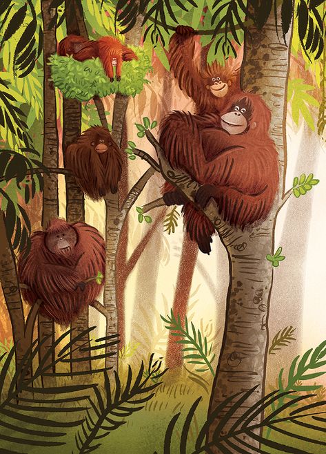 Jungle Book Orangutan, Cute Orangutan Drawing, Orangutan Illustration, Orangutan Drawing, Orangutan Art, Gorilla Illustration, Jungle Drawing, Orang Utan, Jungle Illustration