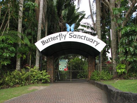 Butterfly Sanctuary, Kuranda Zoo Signage, Butterfly Sanctuary, Butterfly Habitat, Cairns Australia, Farm Plans, The Great Barrier Reef, Travel Australia, Entrance Gates, Great Barrier Reef