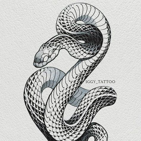 snake tattoos snakes snake wallpaper snaker snaked snakers snake aesthetic snake anime snakes animals snakes pet snake plant snake bite piercing snake bites piercing snake cage snake enclosures snake plants snake bites lip piercing snake bite piercing tongue drake snake enclosure Aesthetic Snake, Snake Sketch, Snake Illustration, Snake Tattoos, Snake Drawing, Snake Wallpaper, Egypt Tattoo, Tattoo Aesthetic, Snake Tattoo Design