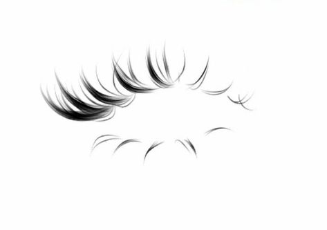 Bottom Eyelashes Drawing, Ibis Eyelashes, Draw Bottom Lashes, How To Draw Bottom Eyelashes, Eye Lashes Png, Lash Drawing, How To Draw Lashes, Eyelash Png, Lashes Png