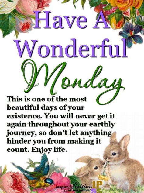 Have A Wonderful Monday Wonderful Monday, Ecclesiastes 9, Monday Pictures, Isaiah 25, Psalm 24, Proverbs 23, Proverbs 20, To All My Friends, Enjoy Your Day