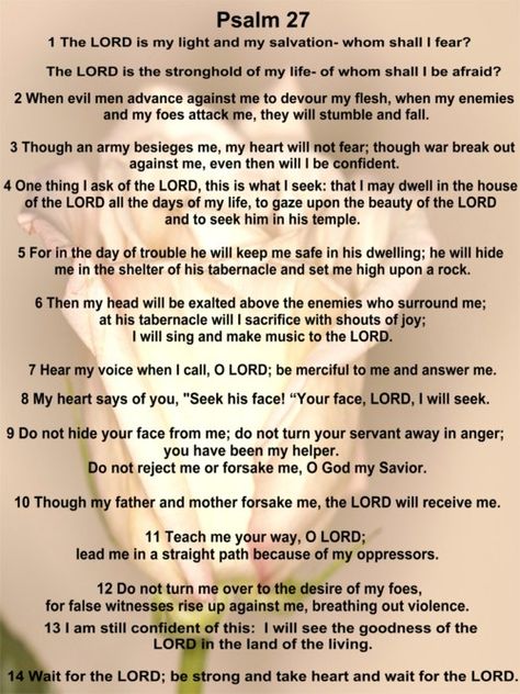 Psalm 27 Love this scripture!......well  the picture of the rose in the background! Psalm Prayers, Psalm 23 Kjv, Waiting On The Lord, Psalms 27, Prayer Watches, Bible Memorization, Life Verse, The Lord Is My Light, Marriage Rules