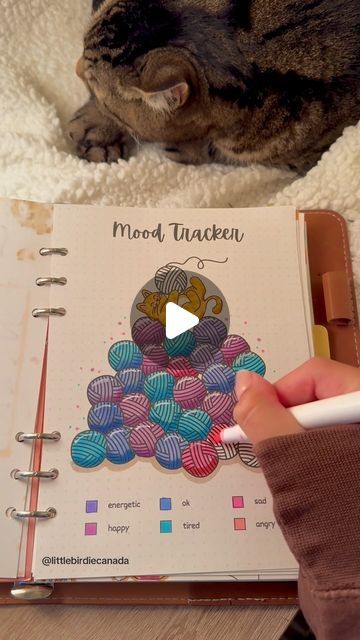 Little Birdie Co. on Instagram: "Come fill out my september bullet journal with me 🫶

Thank you to everyone who has messaged me about the company that stole my journal pages and videos. The company is FortifyEpisode - I didnt give them any permission. Im figuring things out but if you see their ad please report it for me ❤️

#september #septemberbujo #septemberbulletjournal #bulletjournalsetup #catsoftiktok #catlover #cattheme #cattok #fyp #foryoupage #foryou #bulletjournal #bulletjournalist #bulletjournalideas #bulletjournaljunkies #bulletjournalspread #bujo #bujospread #bujoweeklyspread #bujoweekly #bulletjournals #bulletjournalcommunity #dailyjournal #journalideas #journalinspiration #journalspread #planneraddict #plannercommunity #plannerlife" Bullet Journal With Me, September Bullet Journal, Bullet Journal Prompts, Empty Notebook, Journal Tracker, Bujo Weekly Spread, My September, Bullet Journal Set Up, Journal With Me