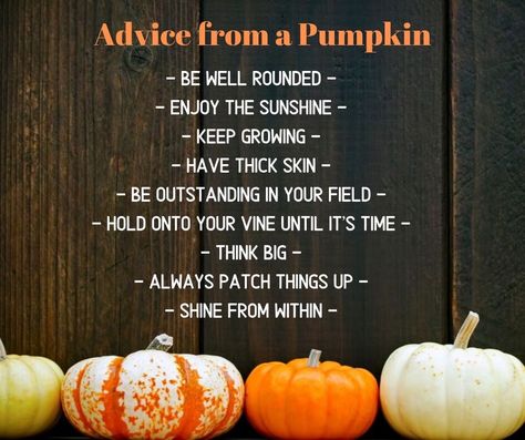 Advice from a Pumpkin Happy Boss, October Quotes, Pumpkin Dress, Holding Onto You, Thick Skin, Autumn Quotes, Enjoy The Sunshine, Think Big, Advice Quotes