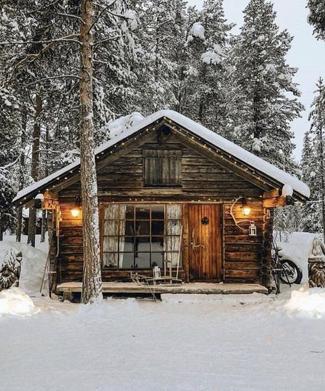 Little cabin in the woods — Steemit Cabin Chronicles, Casa Fantasy, A Cabin In The Woods, Log Houses, Log Cabin Living, Little Cabin In The Woods, Cottage Plans, Cozy Cottages, Small Log Cabin