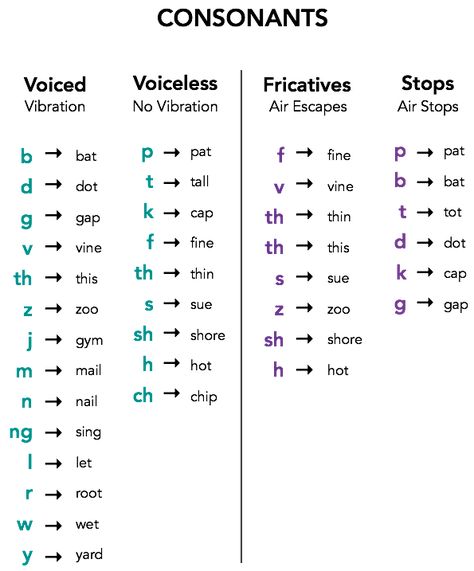 A TOUCH OF ENGLISH: VOICELESS AND VOICED CONSONANTS CHART Consonants Chart, Phonetic Chart, Speech Language Pathology Grad School, Phonetics English, Linguistics Study, Speech Therapy Tools, School Speech Therapy, Phonics Rules, Teaching English Grammar