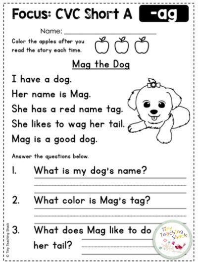 Cvc Short A, Cvc Phonics, Phonics Reading Passages, First Grade Reading Comprehension, Phonics Printables, Phonics Cvc, English Grammar For Kids, Abc Phonics, Learning Phonics