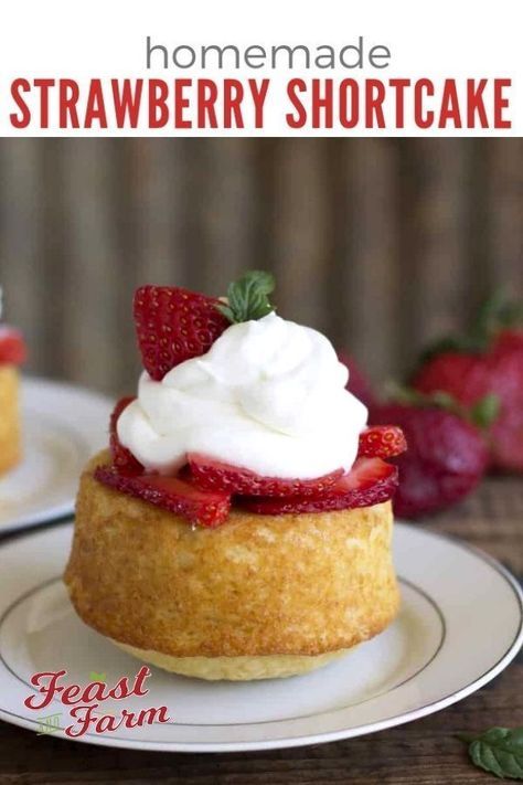 Strawberry Shortcake Mini, Homemade Strawberry Shortcake, Shortcake Cake, Strawberry Shortcakes, Strawberry Shortcake Cake, Cake Mini, Strawberry Shortcake Recipes, Shortcake Recipe, Savory Cakes