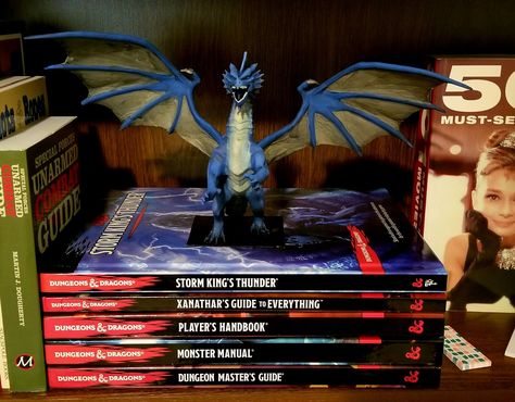 Building my #dnd bookshelf. What should I buy next? Volo's guide or Mordenkainen's Tome? Dnd Bookshelf, Storm Kings Thunder, Storm King, D Book, Dungeon Master's Guide, Dungeon Master, Book Collection, Bookshelves, Dungeons And Dragons