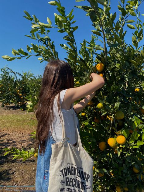 day trip #farm #orange #fruit #october #outfits Picking Oranges, Orange Backpack, October Outfits, Orange Backpacks, Orange Fruit, Go Getter, On The Farm, 2024 Vision, Fashion Aesthetic