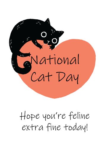 National Black Cat Day, Black Cat Day, National Cat Day, Cartoon Cats, Birthday Reminder, Cats Black, Cartoon Heart, Black Kitty, Fun Life