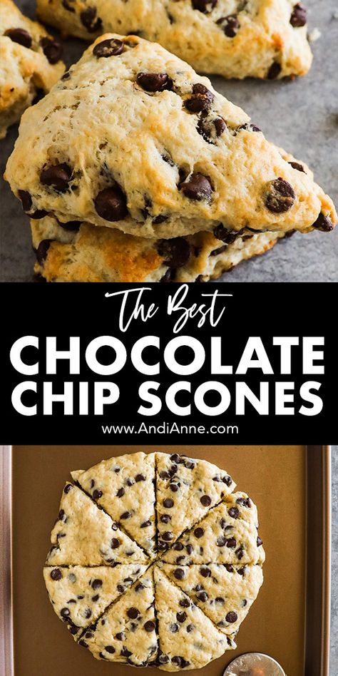 These chocolate chip scones are truly the perfect brunch addition! Made with an easy homemade dough and piled with delicious chocolate chips, these scones are golden brown on the outside and tender flaky on the inside. Chocolate Chips Scones Recipe, Dark Chocolate Scones Recipe, Chocolate Chip Breakfast Recipes, Heavy Cream Scones, Chocolate Chips Scones, Nutella Scones Recipe, Easy Chocolate Chip Scones, Breakfast Dough Recipes, What Can I Make With Chocolate Chips