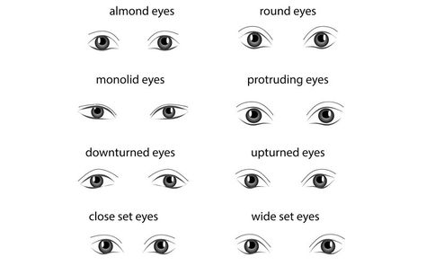 Lashes Mapping, Eyelash Mapping, Applying Eyelash Extensions, Eye Shape Chart, Types Of Eyelash Extensions, Lash Ideas, Lash Maps, Protruding Eyes, Eyelash Studio