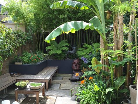 Tropical Garden Ideas, Small Tropical Gardens, Bali Garden, Tattoo Plant, Clematis Montana, Tropical Garden Design, Small Courtyard Gardens, Jungle Gardens, Courtyard Gardens Design