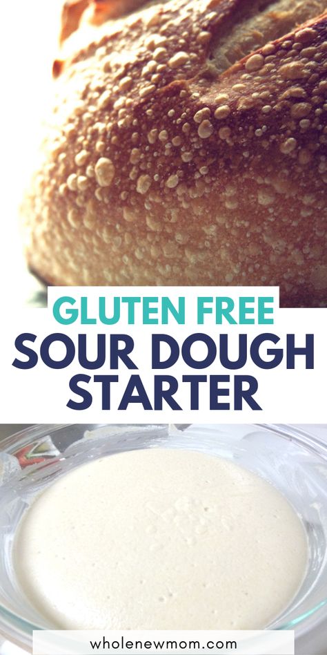 Gluten Free Sourdough Starter, Gluten Free Sourdough Bread, Gluten Free Bagels, Dough Starter, Pain Sans Gluten, Gluten Free Sourdough, Gluten Free Recipes Bread, Baked Treats, Sour Dough