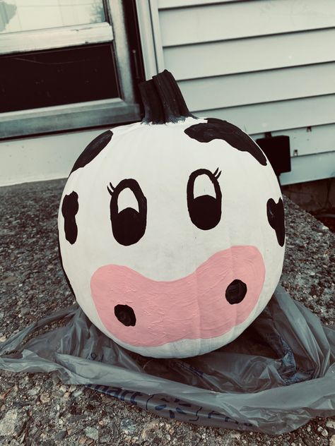 painted a cute little cow pumpkin for my boyfriends neices and nephew to enjoy :)) im OBSESSED with cow print so this seemed fit for my pumpkin this year Cute Painted Pumpkin Ideas, Cow Pumpkin, Painted Pumpkin Ideas, Pumpkin Painting Party, Pumpkin Decorating Diy, Halloween Pumpkin Crafts, Creative Pumpkin Painting, Cute Pumpkin Carving, Creative Pumpkin Decorating