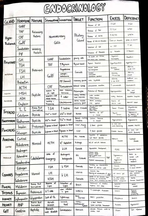 All endocrine hormones in one place #hormones #biology #endocrinology #biologynotes #notes #endocrineglands Hormone Chart Endocrine System, Hormone Study Notes, Endocrine Medications Nursing Students, Endocrine System Hormones Notes, Endocrine Hormones Cheat Sheet, Endocrine System Notes Aesthetic, Endocrinology Notes, Endocrine Glands And Hormones, Endocrine Physiology