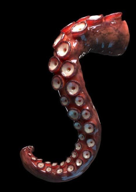 Tenticals Reference, 3d Tipografi, Tentacle Art, Octopus Tentacles, Gcse Art, Arte Inspo, Kraken, Photo Reference, Art Plastique