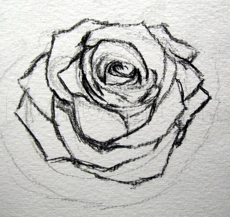 Flower Art Drawing, Rose Drawing, Flower Sketches, Roses Drawing, Piece Of Paper, Graffiti Drawing, Doodle Art Designs, Art Drawings Sketches Creative, Guided Drawing