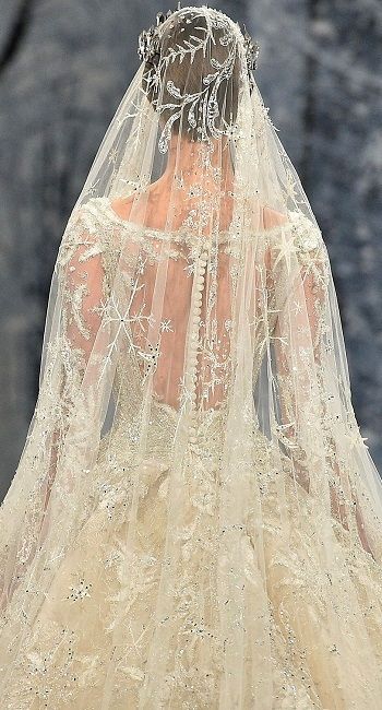 Ziad Nakad Bridal, Ziad Nakad Couture, Zuhair Murad Bridal, Wedding Dress Sheer, Royal Train, Ziad Nakad, Veil Headpiece, Wedding Inspirasi, Sheer Wedding Dress