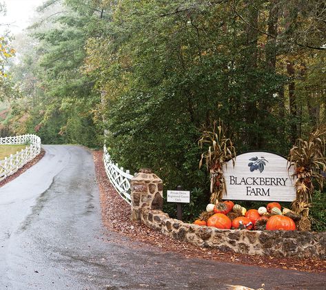 Blackberry Farm Tennessee, Farm Entrance, Blackberry Farm, Blackberry Farms, Farm Business, Southern Lady, Farm Fence, Farm Signs, Farm Design