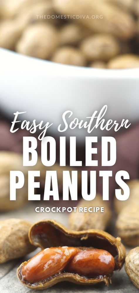 easy boiled peanuts crockpot recipe Boiled Peanuts Crockpot, Quick Crockpot Meals, Boiled Peanuts, Peanut Recipes, Crockpot Recipe, Slow Cooker Recipe, Delicious Appetizer Recipes, Low Sugar Recipes, Crockpot Recipes Easy