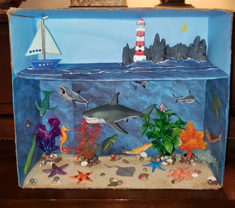 Shark Diorama, Underwater Diorama, Shark Habitat, Ocean Diorama, Ocean Art Projects, Biomes Project, Diorama Kids, Aquarium Craft, Ecosystems Projects