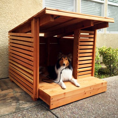 5 Luxury Dog Houses for the Modern Pup - Colorado Homes & Lifestyles Cheap Dog Houses, Katt Hus, Luxury Dog House, Modern Dog Houses, Outdoor Dog House, Dog House Plans, Cool Dog Houses, Positive Dog Training, Easiest Dogs To Train