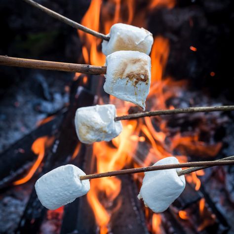 Crafters Choice™ Campfire Marshmallow Fragrance Oil 995 - Wholesale Supplies Plus Winter Bbq, Toasting Marshmallows, Campfire Marshmallows, Pasta Primavera, Camping Aesthetic, Roasting Marshmallows, Toasted Marshmallow, Garden Parties, Summer Inspiration