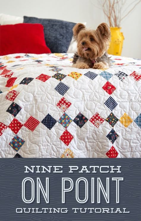 Free quilt projects featuring Gingham Girls Fabric 9 Patch On Point Quilt Pattern, Nine Patch On Point Quilt Patterns, Slow Stroll Quilt, Nine Patch Quilt Patterns, Nine Patch Quilts, Missouri Quilt, Amy Smart, 9 Patch Quilt, Irish Chain Quilt