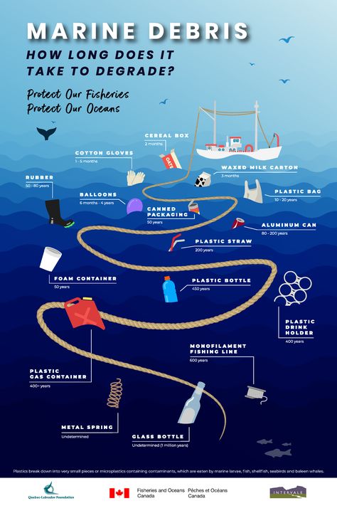 Marine Debris: How long does it take to degrade? Marine Pollution Poster, Ocean Education, Pencemaran Air, Marine Poster, Iphone Wallpaper Quotes Inspirational, Marine Debris, Marine Pollution, Ocean Pollution, Save Our Oceans