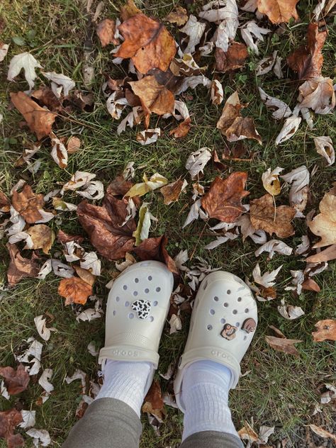 Neutral crocs Neutral Crocs, Stucco Crocs, Clogs