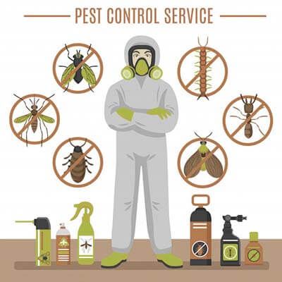 Fumigation Services, Flea Prevention, Termite Control, Teaching Skills, Insect Control, Pest Control Services, Free Classified Ads, Free Ads, Natural Home Remedies