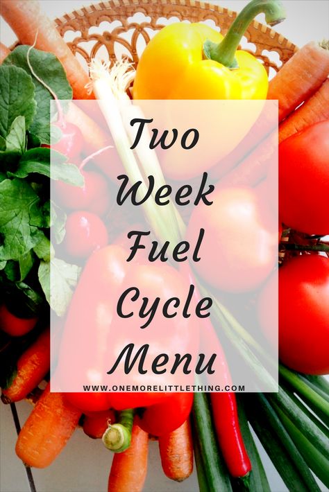 Looking for a way to jump-start your weight loss. Doing a two-week fuel cycle can really push your fat burning into overdrive! Rhubarb Pie Filling Recipes, Rhubarb Pie Filling, Trim Healthy Mama Meal Plan, Thm Diet, Thm Meal Plans, Trim Healthy Mama Recipe, Trim Healthy Mama Diet, Fuel Pull, Trim Healthy Recipes