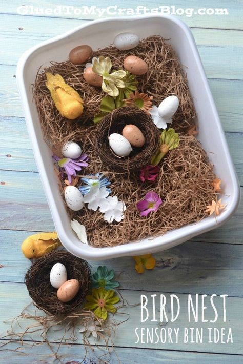 Bird Nest - Sensory Bin Idea Bird Nest Preschool, Bird Nest Craft, Sensory Tubs, Sensory Tub, Easy Bird, Toddler Sensory, Sensory Boxes, Spring Preschool, Sensory Table