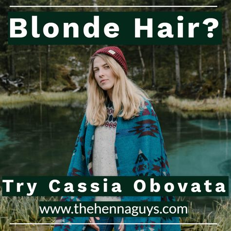 Cassia Obovata hair masks will help nourish your scalp while promoting a healthy blonde color while even covering greys! Blonde Henna, Cassia Obovata, Henna Guys, Grey Blonde Hair, Hair Dyes, Henna Hair, Hair Masks, Hair Solutions, Cover Gray