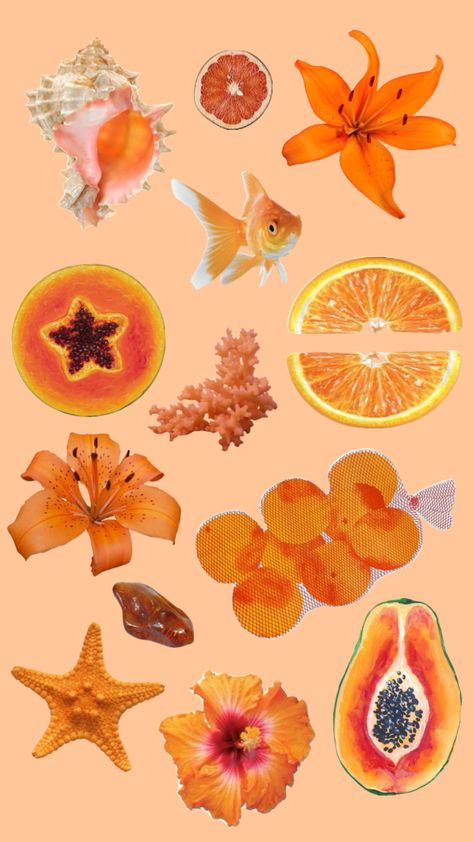 Orange Orange Pictures Aesthetic, Orange Pictures, Orange Items, Pinterest Contest, Orange Aesthetic, Lil Baby, Wall Deco, Art References, Wall Collage